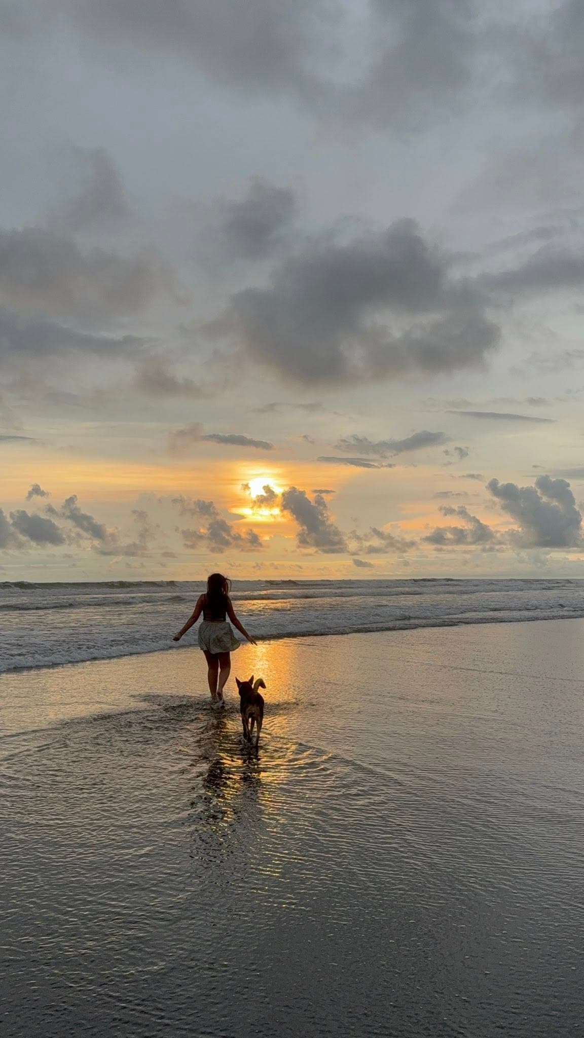 Carol Anne marche sur la plage au coucher du soleil avec un chien